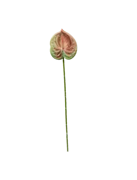 Artificial Pink Anthurium — Rosewater Mist | Vyne