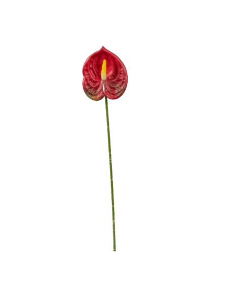 Artificial Red Anthurium — Imperial Scarlet | Vyne