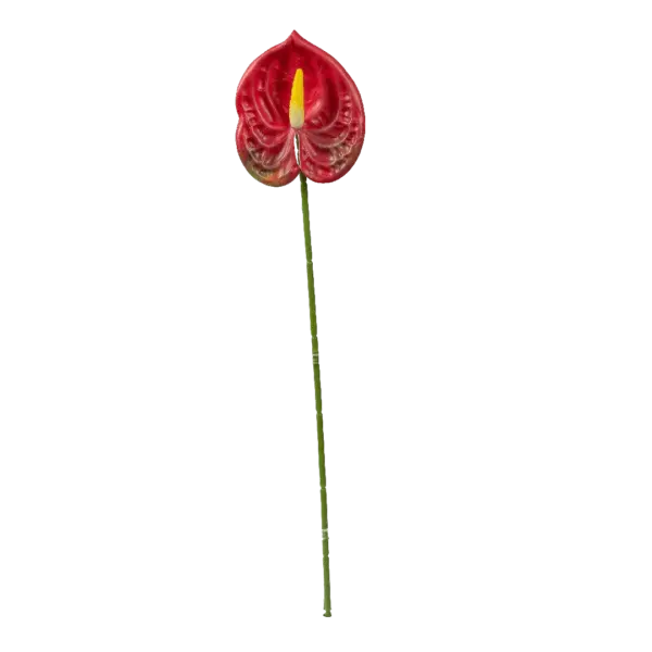 Artificial Red Anthurium — Imperial Scarlet | Vyne