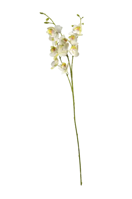 Artificial Cream Orchid — Ivory Blush | Vyne Boutique