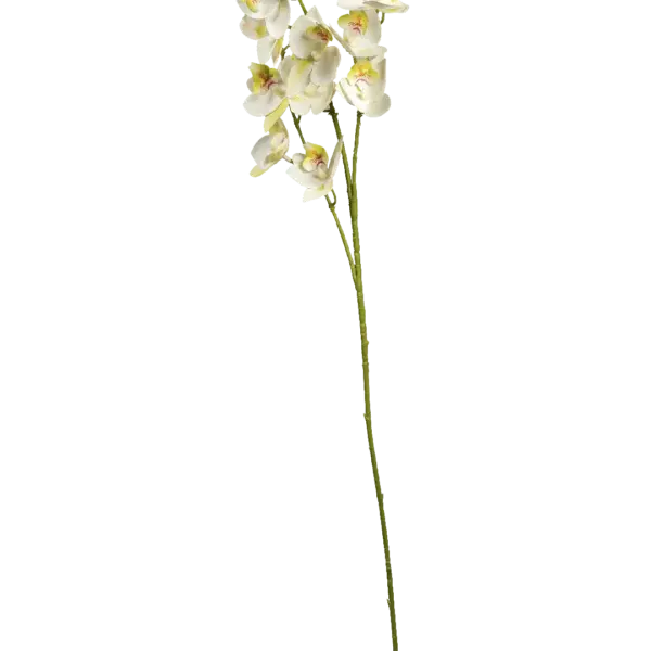 Artificial Cream Orchid — Ivory Blush | Vyne Boutique