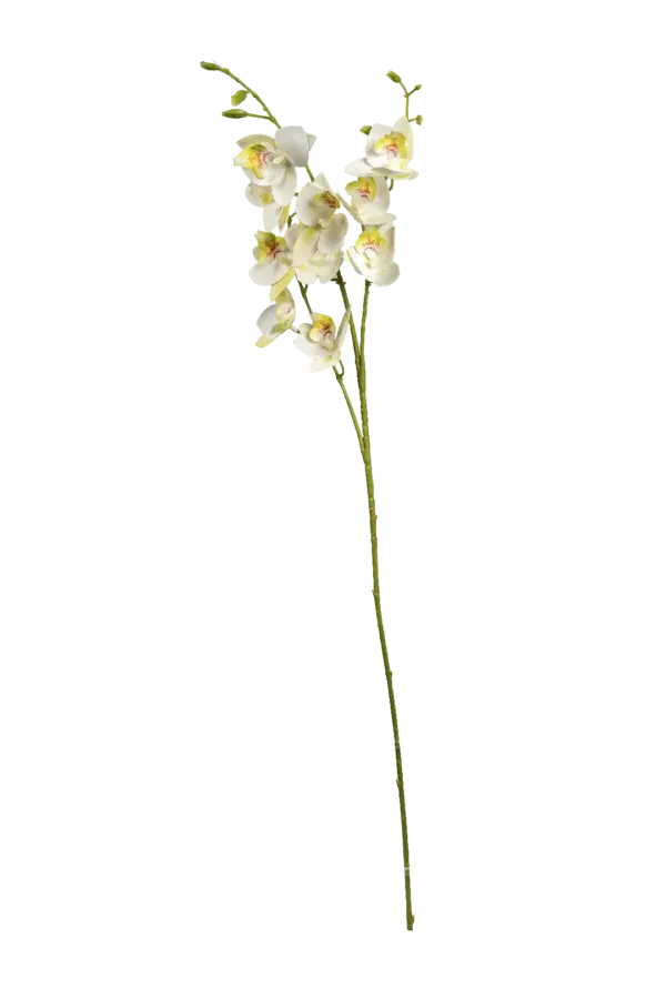 Artificial Cream Orchid — Ivory Blush | Vyne Boutique