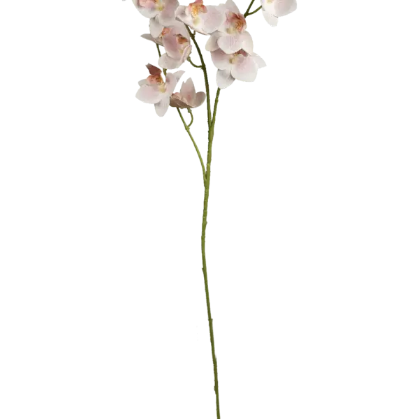 Artificial Pink Orchid — Petal Blush | Vyne Boutique