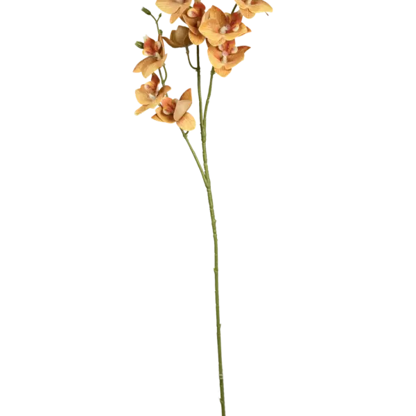 Artificial Peach Orchid — Apricot Blush | Vyne Boutique