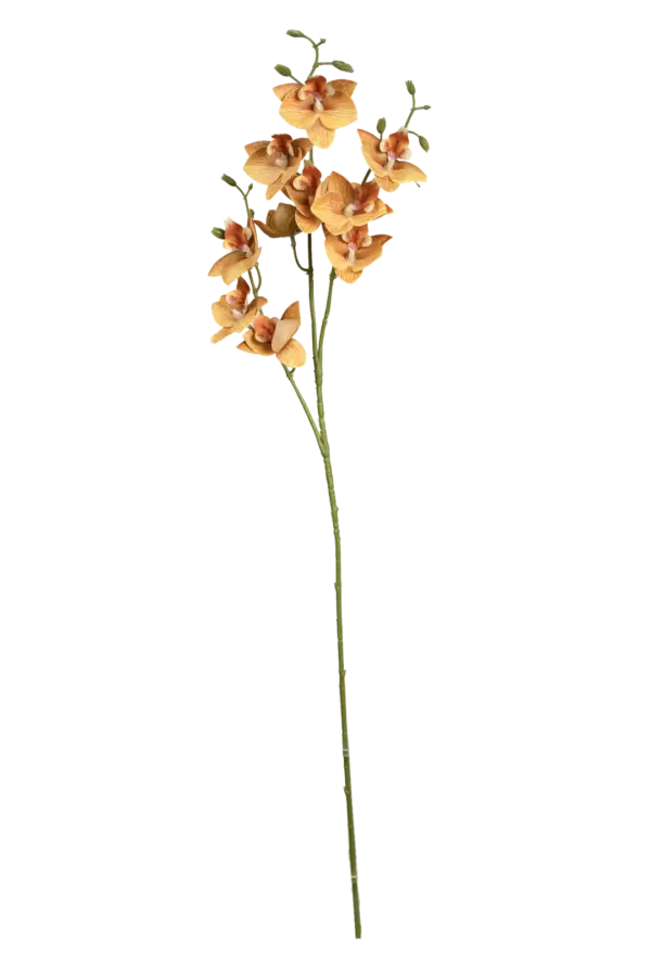 Artificial Peach Orchid — Apricot Blush | Vyne Boutique