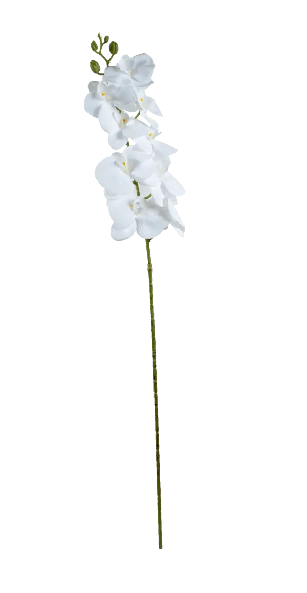 Artificial White Orchid — Snow White | Vyne Boutique