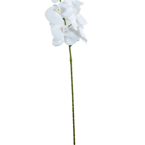 Artificial White Orchid — Snow White | Vyne Boutique