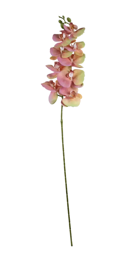Artificial Pink Orchid — Blush Pearl White | Vyne Boutique