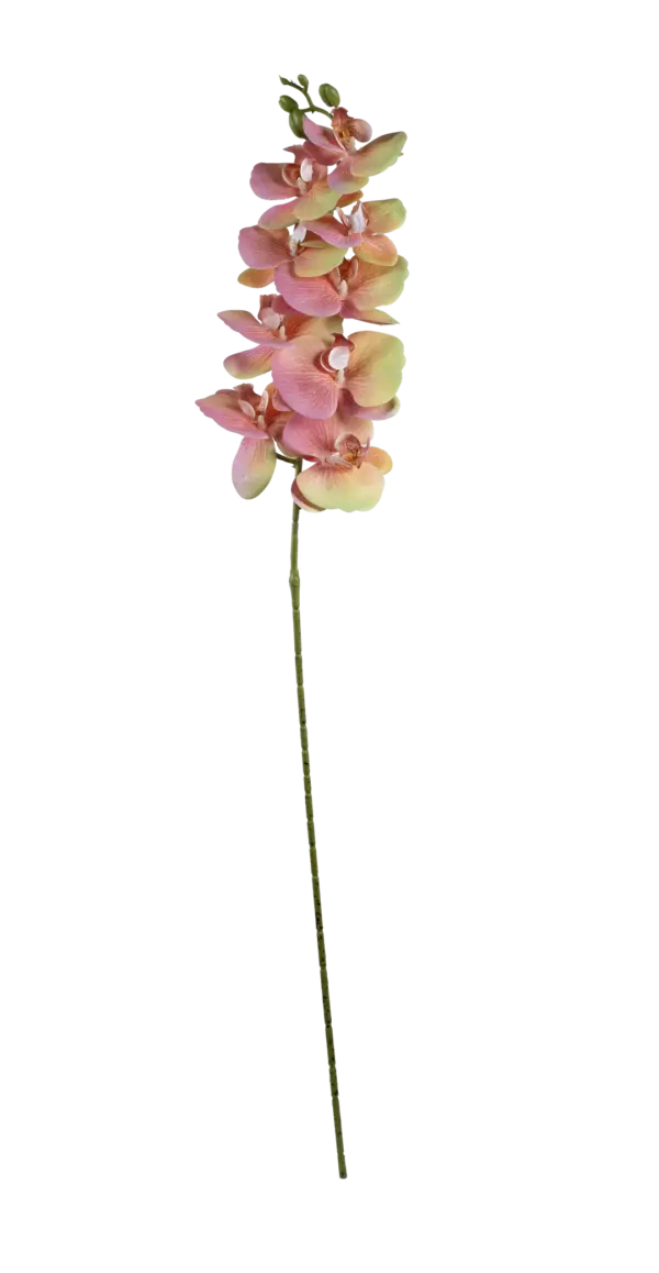 Artificial Pink Orchid — Blush Pearl White | Vyne Boutique