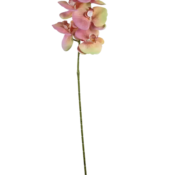 Artificial Pink Orchid — Blush Pearl White | Vyne Boutique