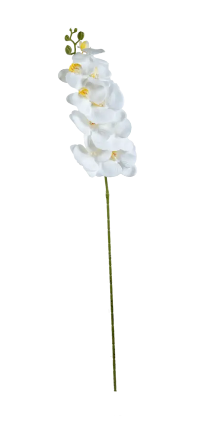 Artificial White Orchid — Butter Glow White | Vyne Boutique
