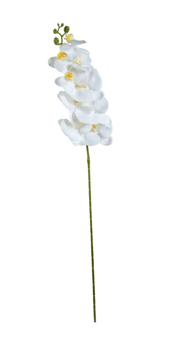 Artificial White Orchid — Butter Glow White | Vyne Boutique