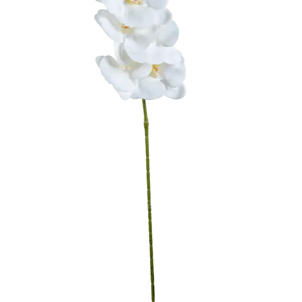 Artificial White Orchid — Butter Glow White | Vyne Boutique