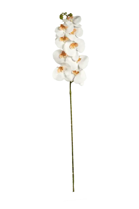Artificial Cream Orchid — Porcelain Ivory | Vyne Boutique