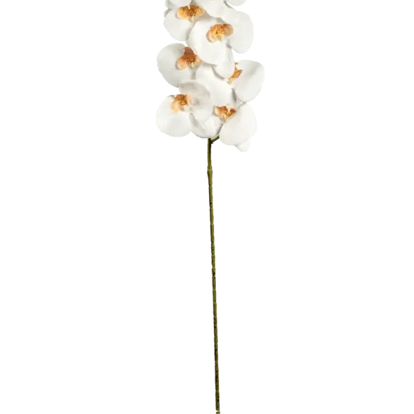 Artificial Cream Orchid — Porcelain Ivory | Vyne Boutique