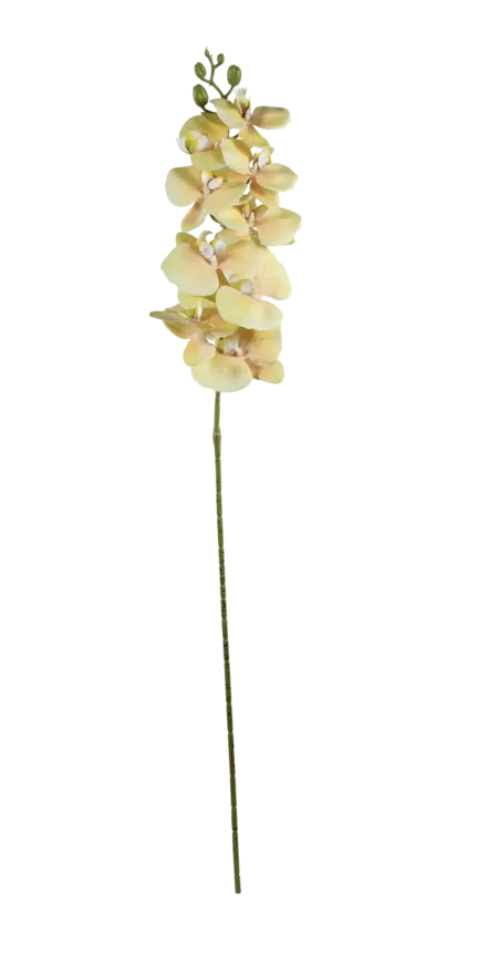 Artificial Yellow Orchid — Pale Buttercup | Vyne Boutique