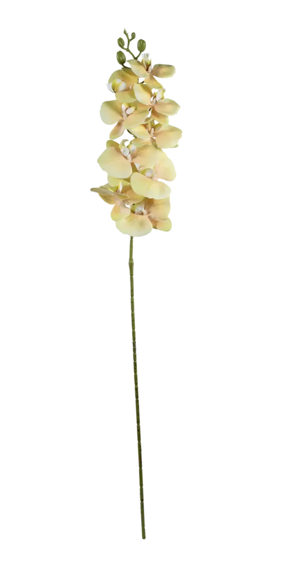 Artificial Yellow Orchid — Pale Buttercup | Vyne Boutique