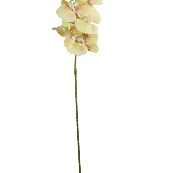 Artificial Yellow Orchid — Pale Buttercup | Vyne Boutique