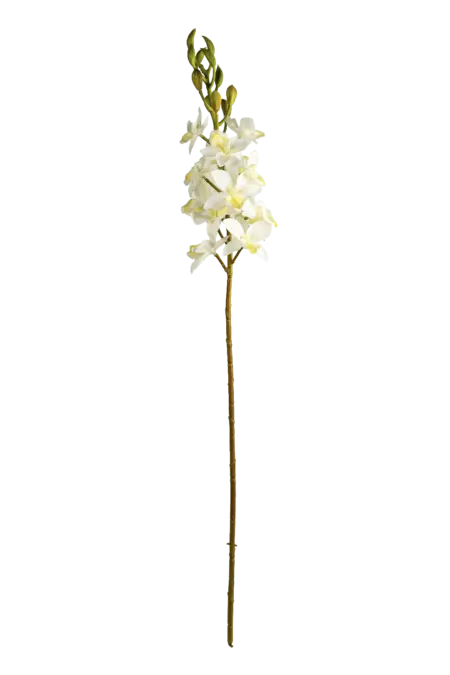 Artificial White Orchid — Ivory White | Vyne Boutique