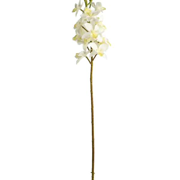 Artificial White Orchid — Ivory White | Vyne Boutique