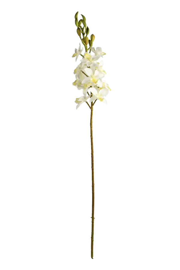 Artificial White Orchid — Ivory White | Vyne Boutique