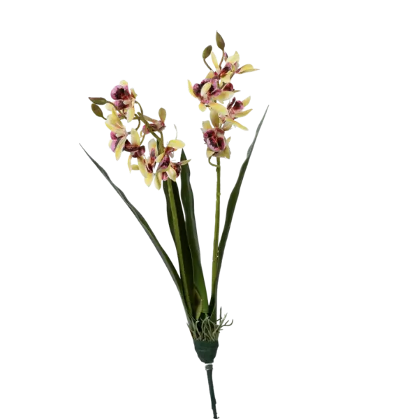 Artificial Orchid Shower — Soft Chartreuse Blush | Vyne