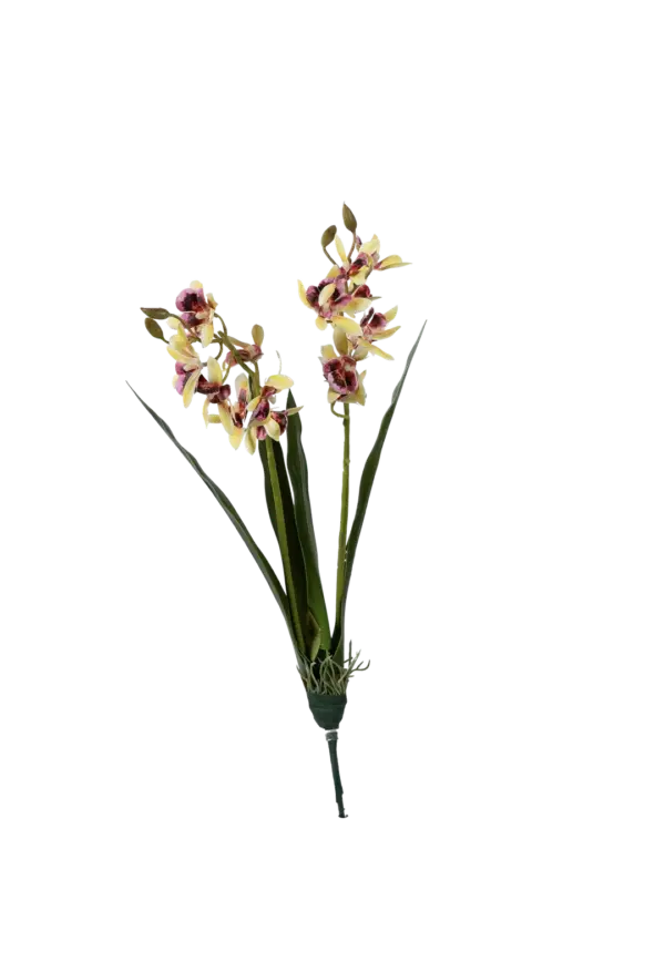 Artificial Orchid Shower — Soft Chartreuse Blush | Vyne