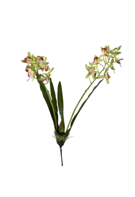 Artificial Orchid Shower — Pistachio Bloom Green | Vyne