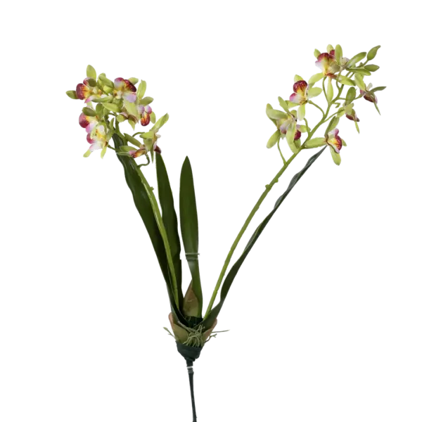 Artificial Orchid Shower — Pistachio Bloom Green | Vyne