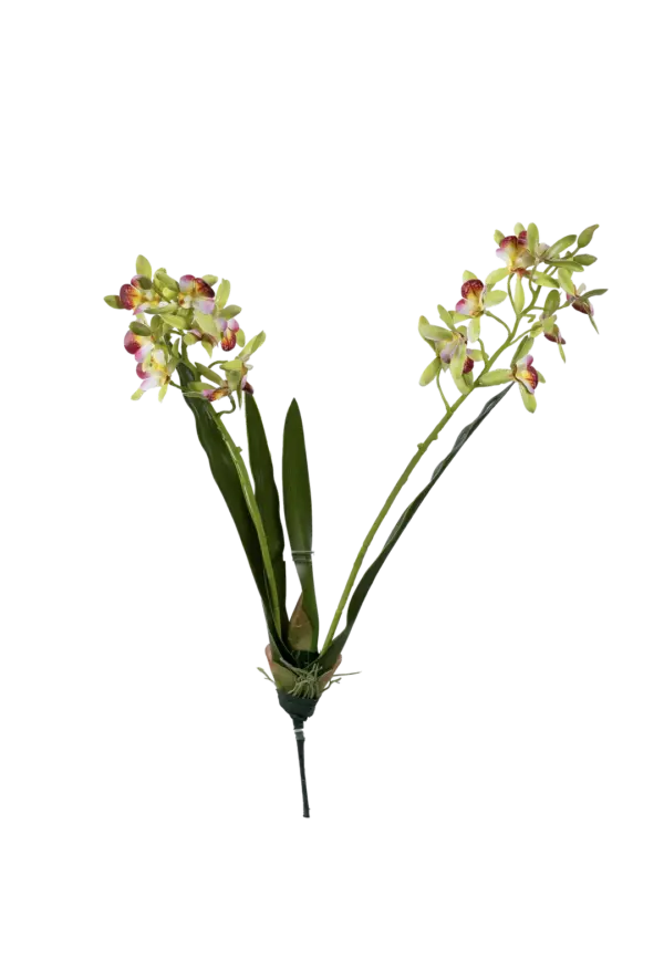 Artificial Orchid Shower — Pistachio Bloom Green | Vyne