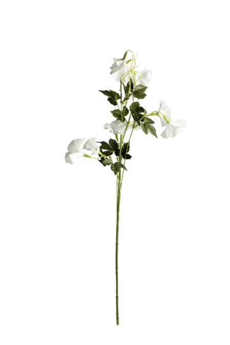 Artificial Morning Glory — Pure White | Vyne Boutique