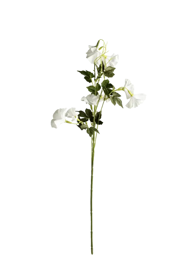 Artificial Morning Glory — Pure White | Vyne Boutique