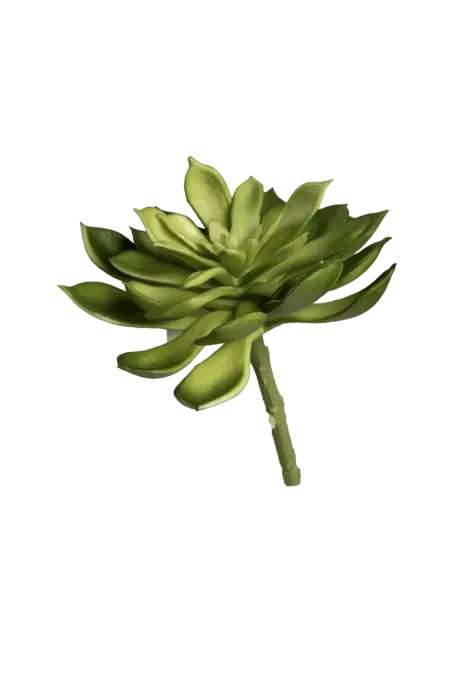 Artificial Echeveria Succulent — Fresh Aloe Green | Vyne