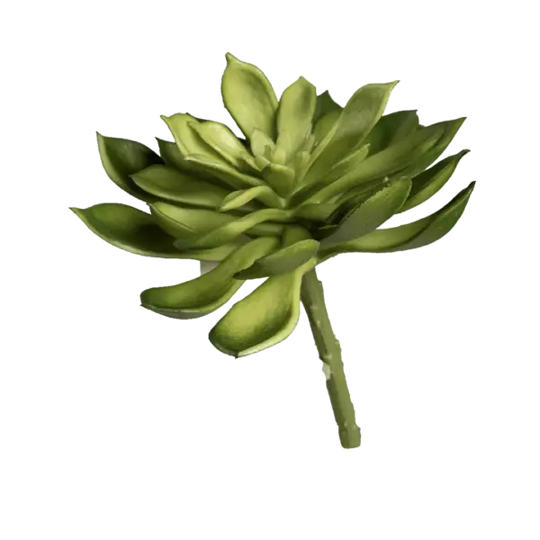 Artificial Echeveria Succulent — Fresh Aloe Green | Vyne