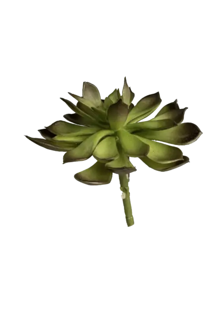 Artificial Echeveria Succulent — Forest Shadow Green | Vyne