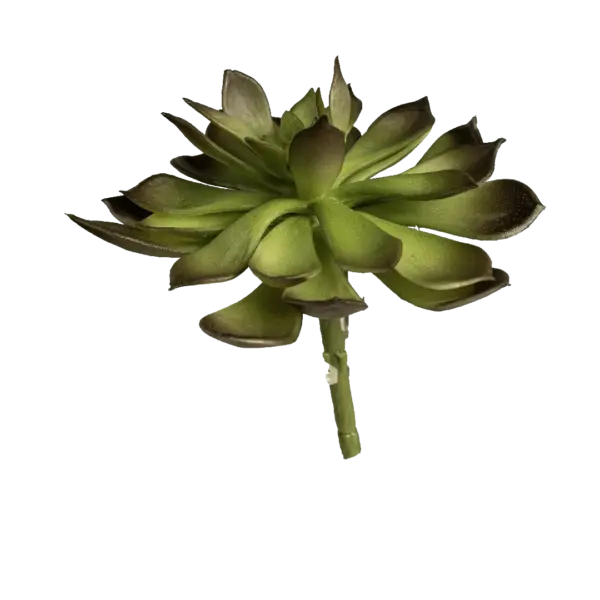 Artificial Echeveria Succulent — Forest Shadow Green | Vyne