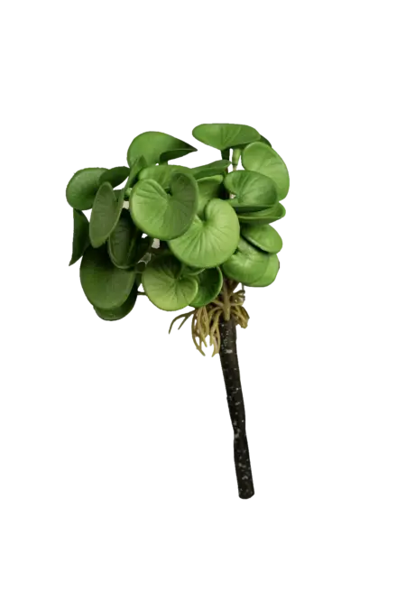 Artificial Pilea Plant — Fresh Jade Green | Vyne Boutique