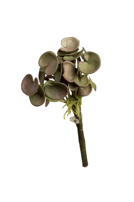Artificial Pilea Plant — Dusty Mauve Green | Vyne Boutique