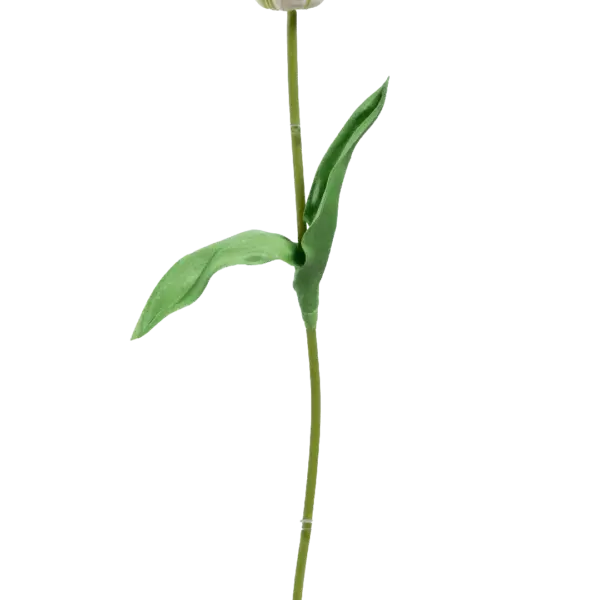 Artificial White Tulip — Petal Veil | Vyne Boutique