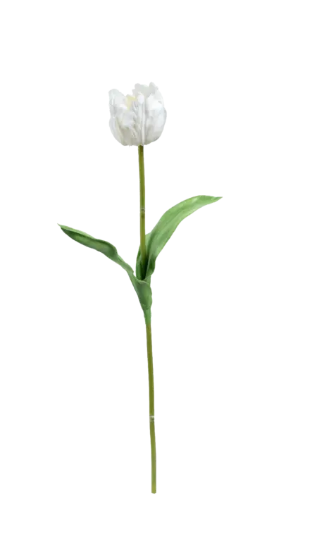 Artificial White Tulip — Snow White | Vyne Boutique
