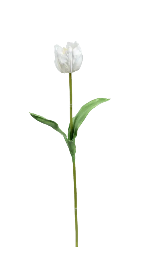 Artificial White Tulip — Snow White | Vyne Boutique