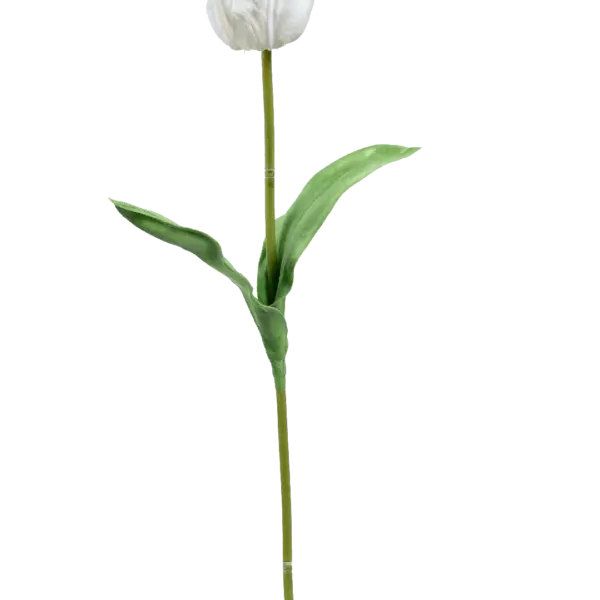 Artificial White Tulip — Snow White | Vyne Boutique