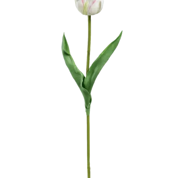 Artificial Cream Tulip — Blush Ivory | Vyne Boutique
