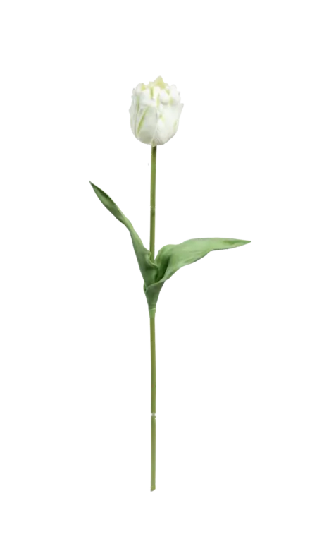 Artificial Green Tulip — Pistachio Cream | Vyne Boutique