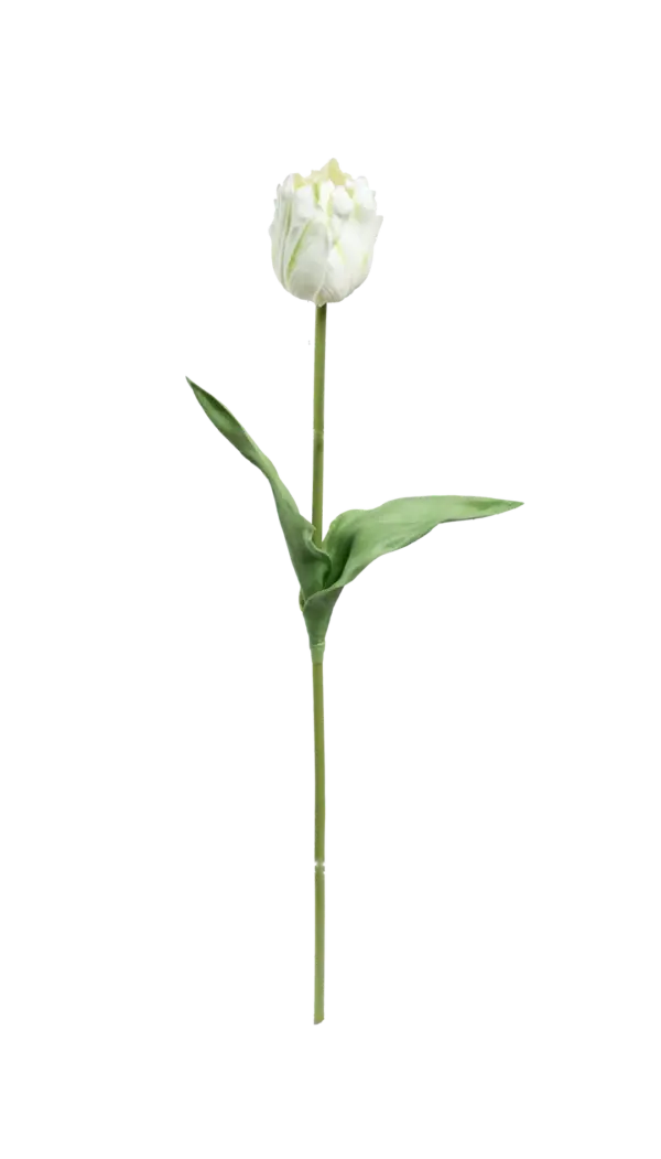 Artificial Green Tulip — Pistachio Cream | Vyne Boutique