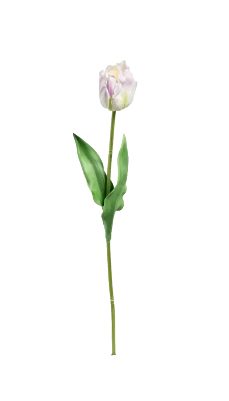 Artificial Cream Tulip — Ivory Rose Tip | Vyne Boutique