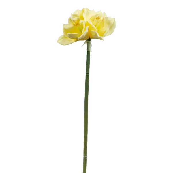 Artificial Amaryllis Flower — Soft Buttercream | Vyne