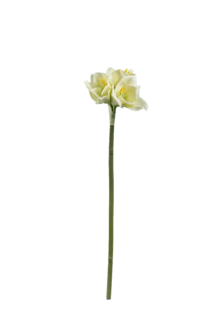 Artificial Amaryllis Flower — Soft White Green | Vyne