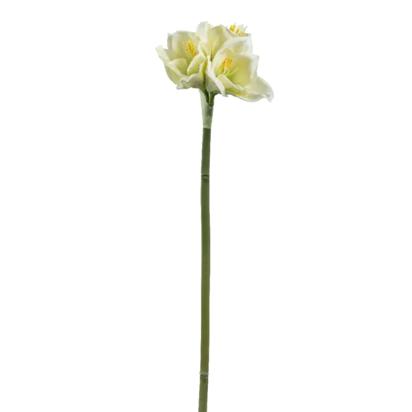 Artificial Amaryllis Flower — Soft White Green | Vyne