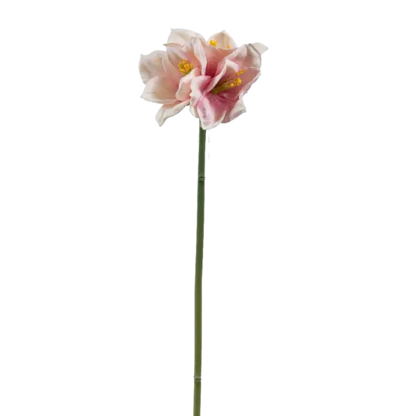 Artificial Amaryllis Flower — Blush Veil | Vyne Boutique